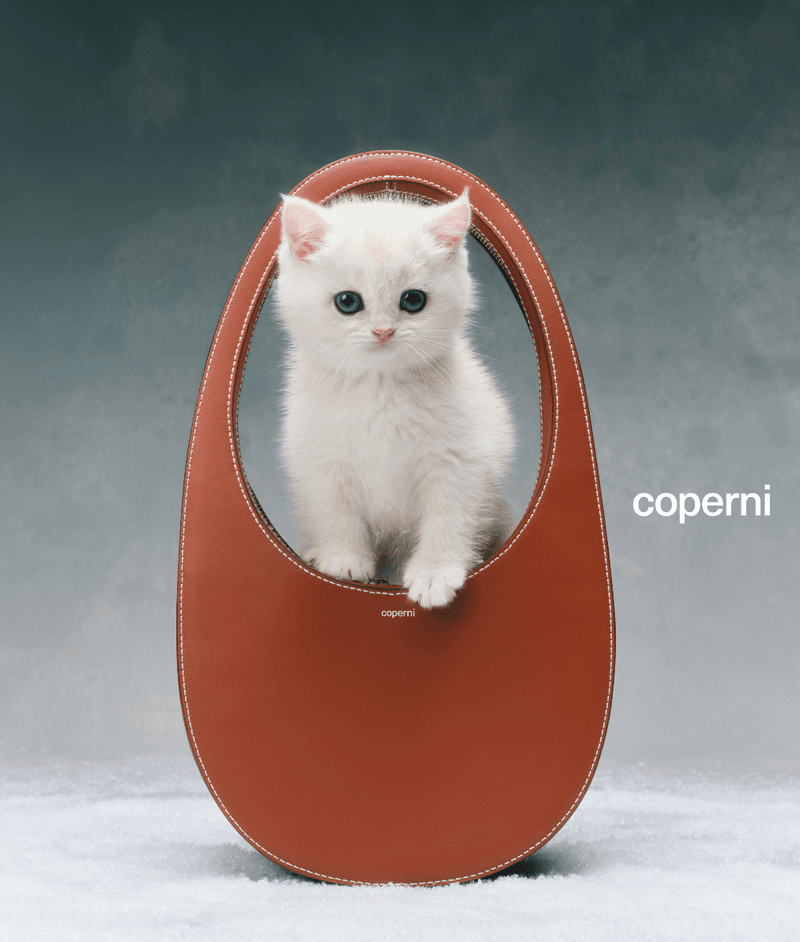 Gucci、Balenciaga、Louis Vuitton 等品牌貓咪時尚企劃合輯