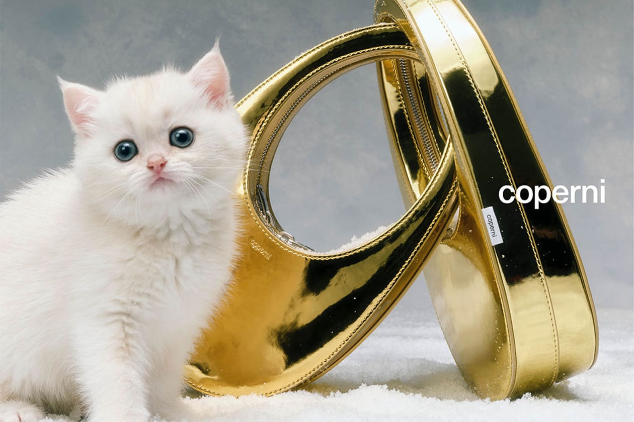 Gucci、Balenciaga、Louis Vuitton 等品牌貓咪時尚企劃合輯