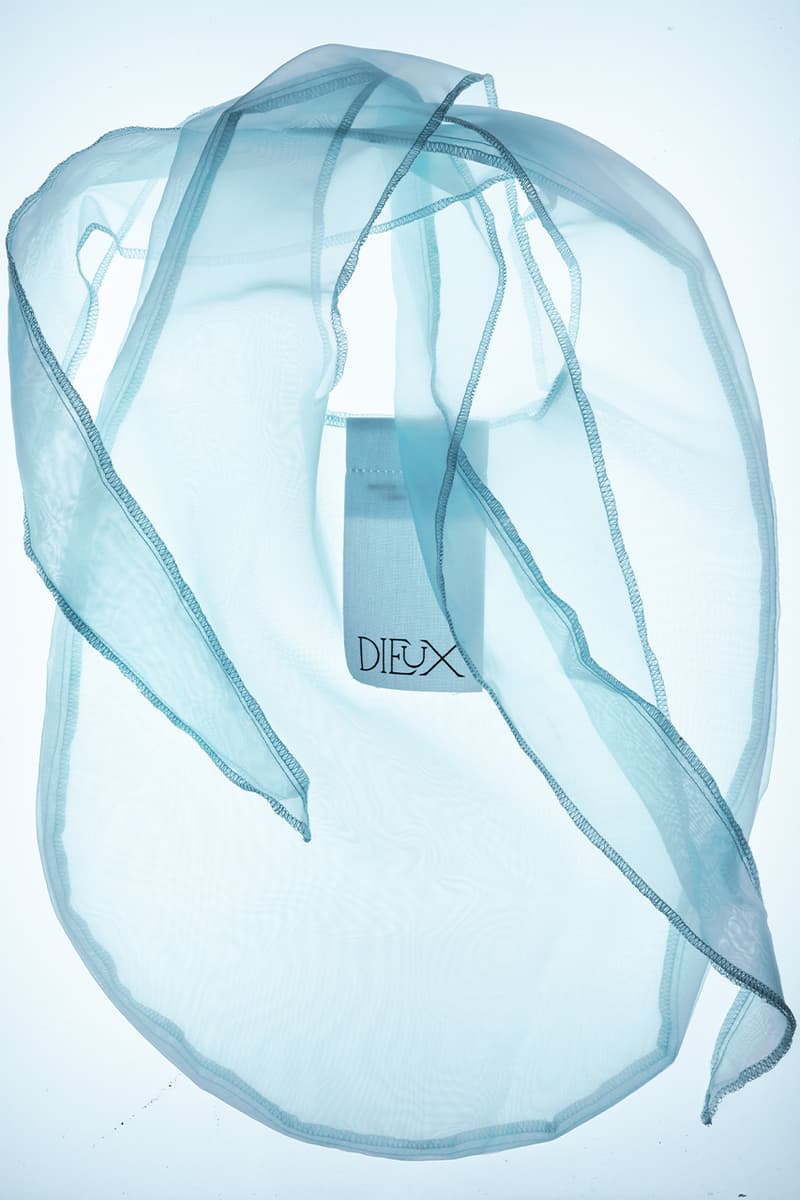 Dieux, Dieux-It-All Tote, Bags, Skincare, Clean Beauty