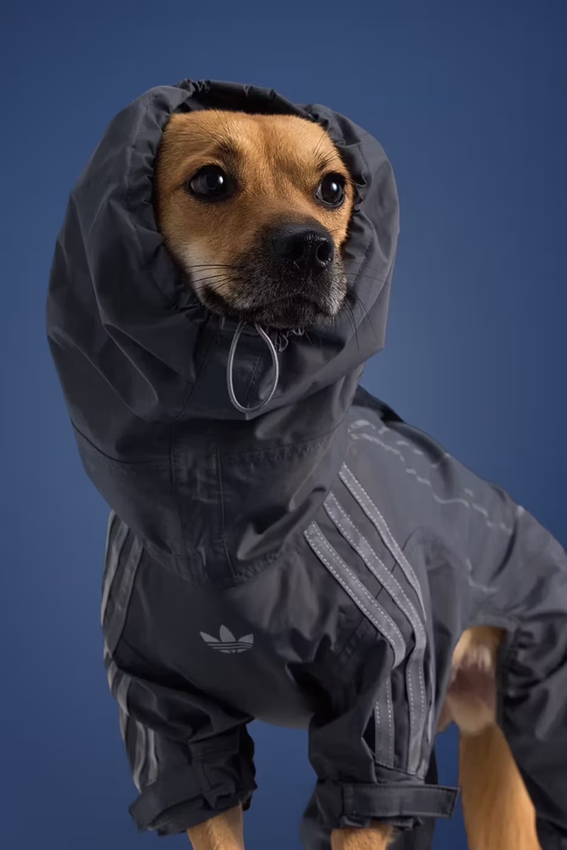 adidas, originals, pets, dog, fashion, campaigns