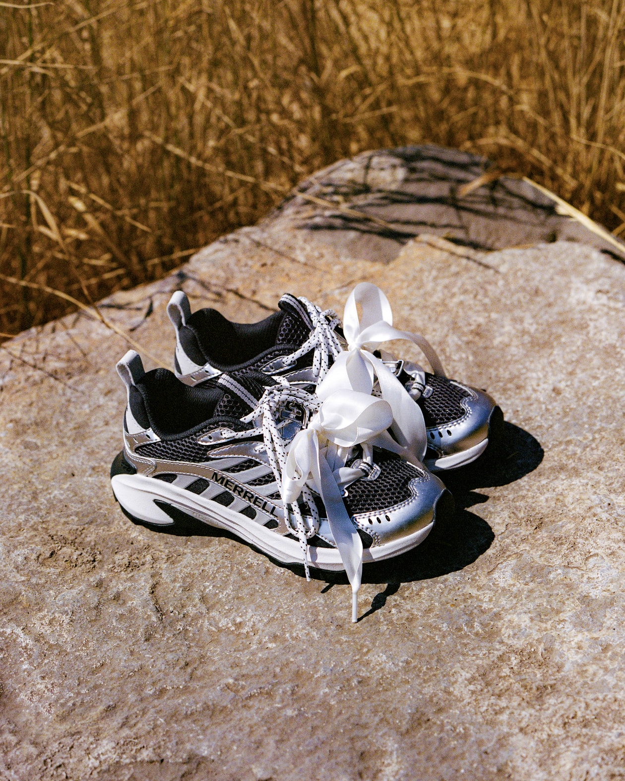 鞋掛飾, 鞋履, 球鞋, 時尚, 小飾物, 鞋帶, 緞帶, 蝴蝶結