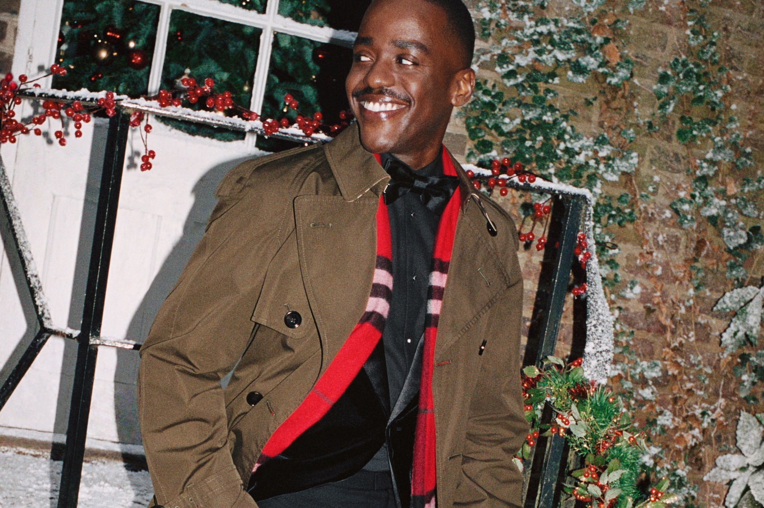 burberry, naomi campbell, dogs, rosie huntington whiteley, christmas tree, 