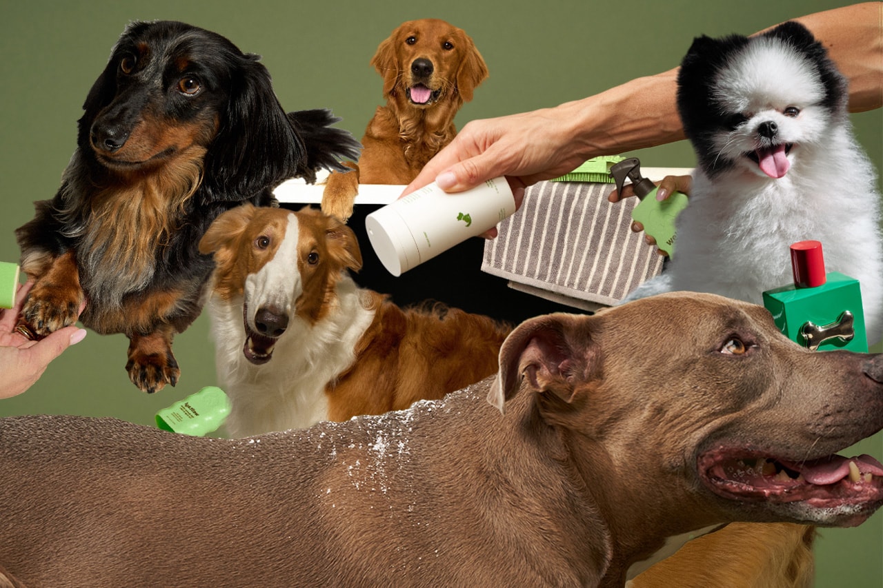 Dogs, Pet Care, Dog Beauty Products, Trends, Welltayl, Lil Luv Dog