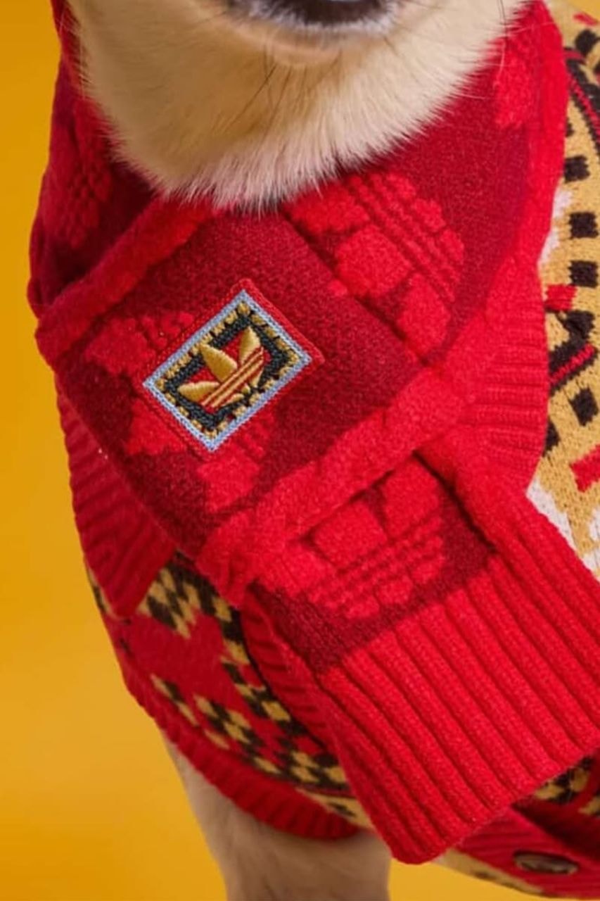 Adidas, Lunar New Year, Pets, Pet clothes, Lunar New Year Jackets, Pankou Jackets, Chinese New Year