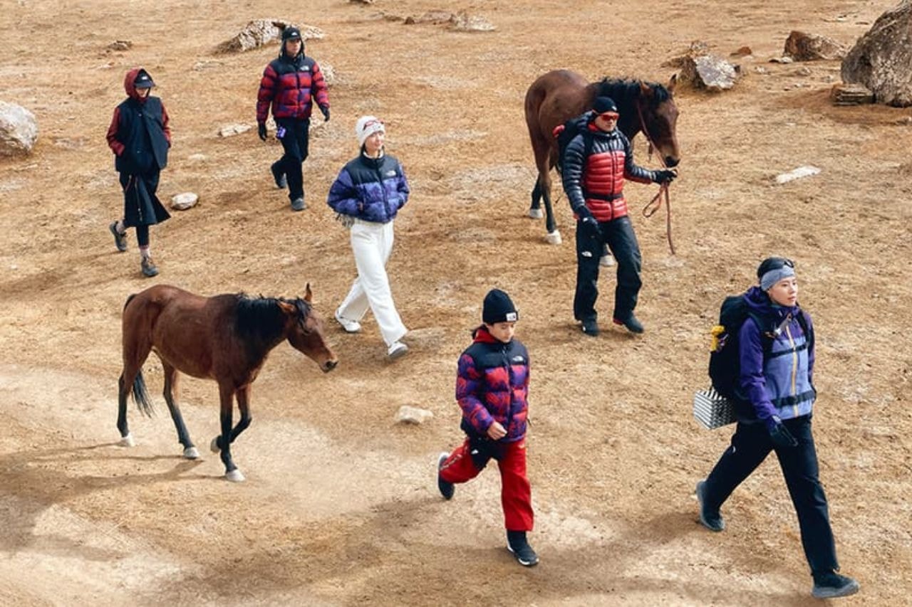 The North Face, Lunar New Year, Year of the Fire Horse, Year of the Horse, Outerwear, Winter Jackets, Puffer Jackets