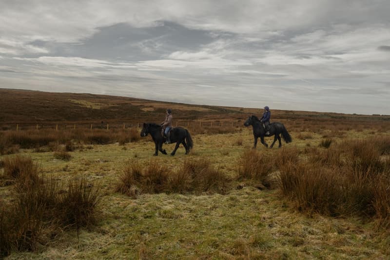 Wuthering Heights, Airbnb, margot robbie, jacob elordi, vacations, holidays, uk, england, hotels, countryside