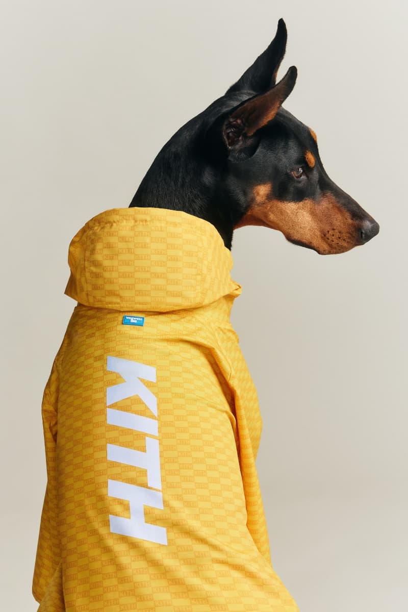 kith, dogs, pets, animals, clothes, fashion, wagwear, collaborations, campaigns