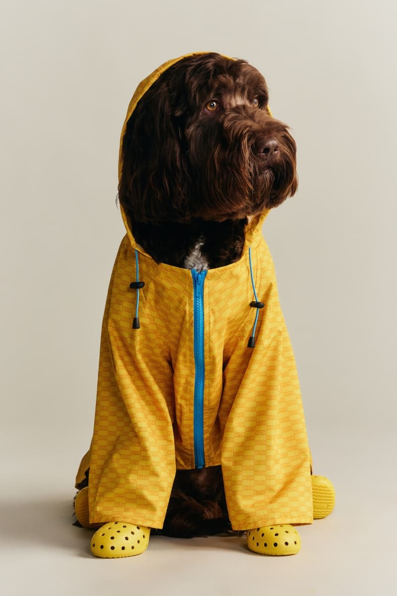 kith, dogs, pets, animals, clothes, fashion, wagwear, collaborations, campaigns