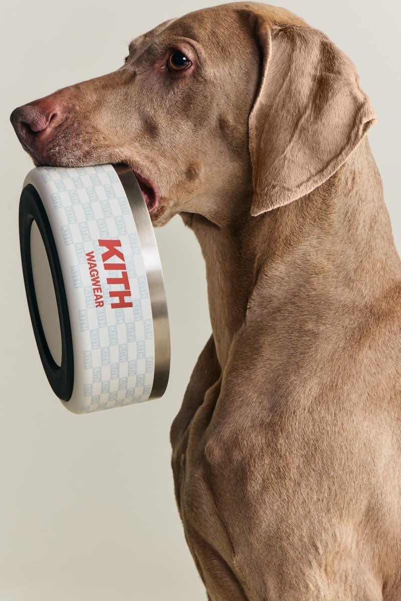 kith, dogs, pets, animals, clothes, fashion, wagwear, collaborations, campaigns