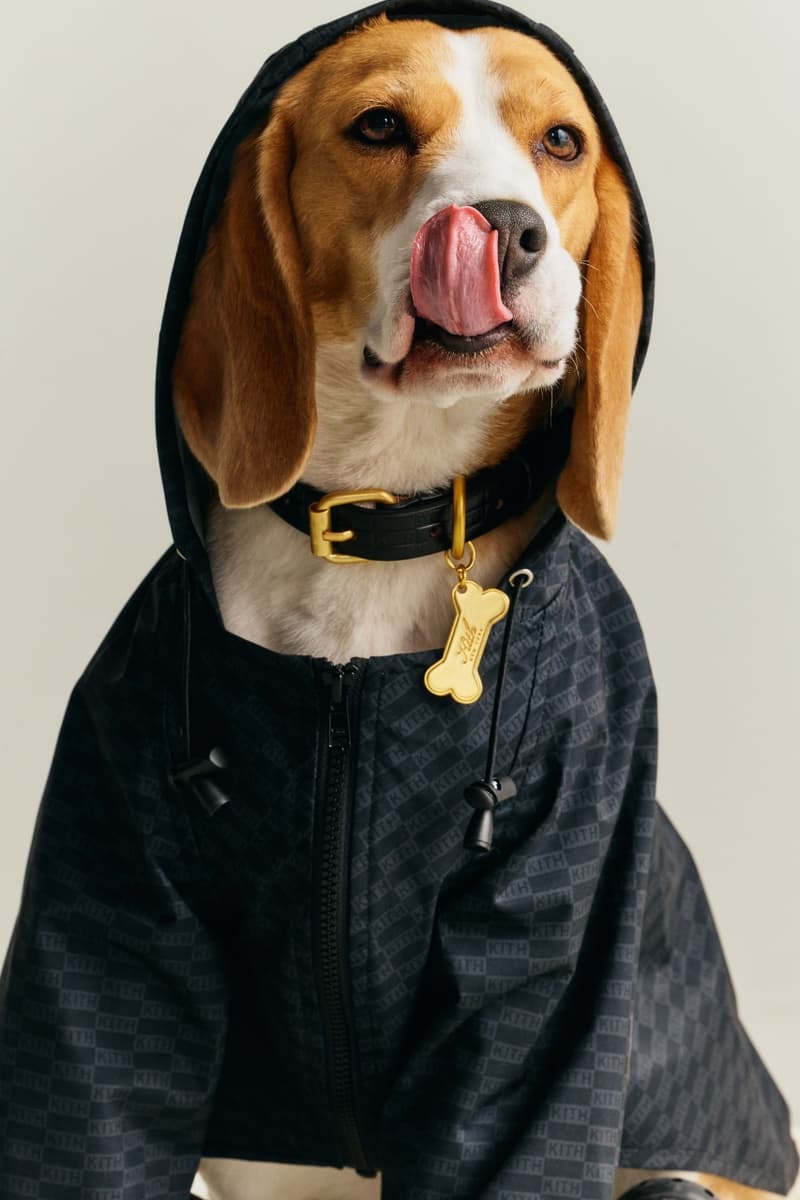 kith, dogs, pets, animals, clothes, fashion, wagwear, collaborations, campaigns