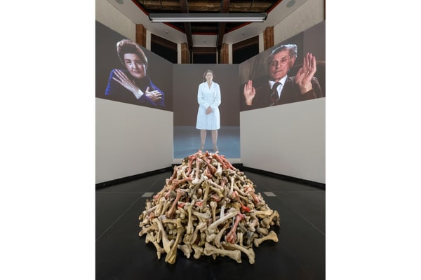 Marina Abramovic, venice biennale, exhibitions, art, performance art, gallerie dell'accademia, italy