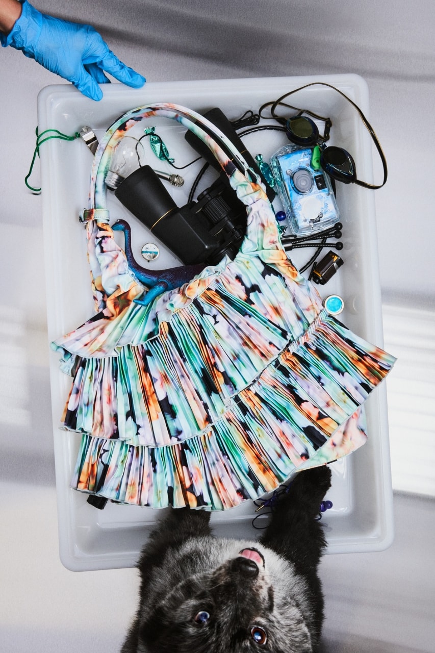 Collina Strada, Stand Oil, accessories, bags, phone charms, collaborations, fashion, campaigns, new york, Seoul 