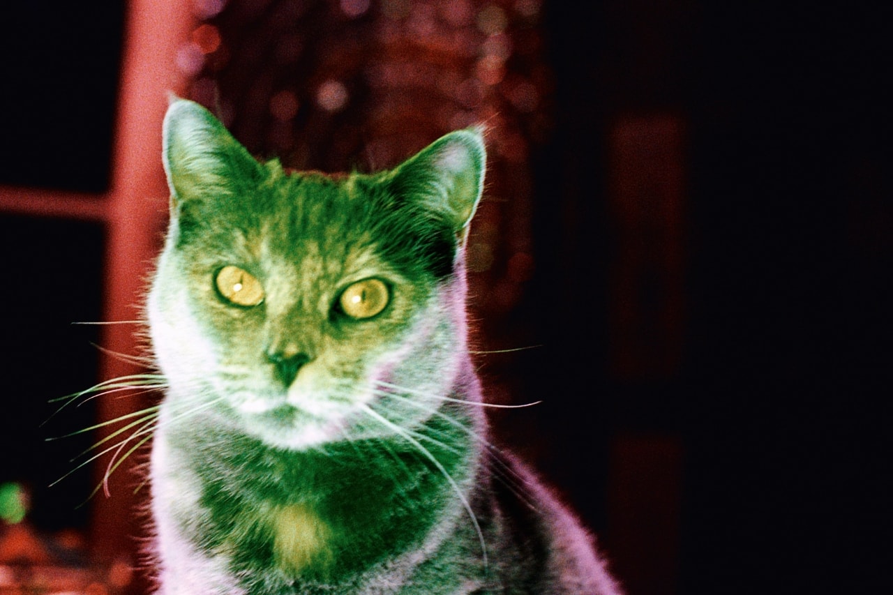 Hayward Gallery, Nan Goldin, exhibitions, london, southbank centre, photography, art, artist
