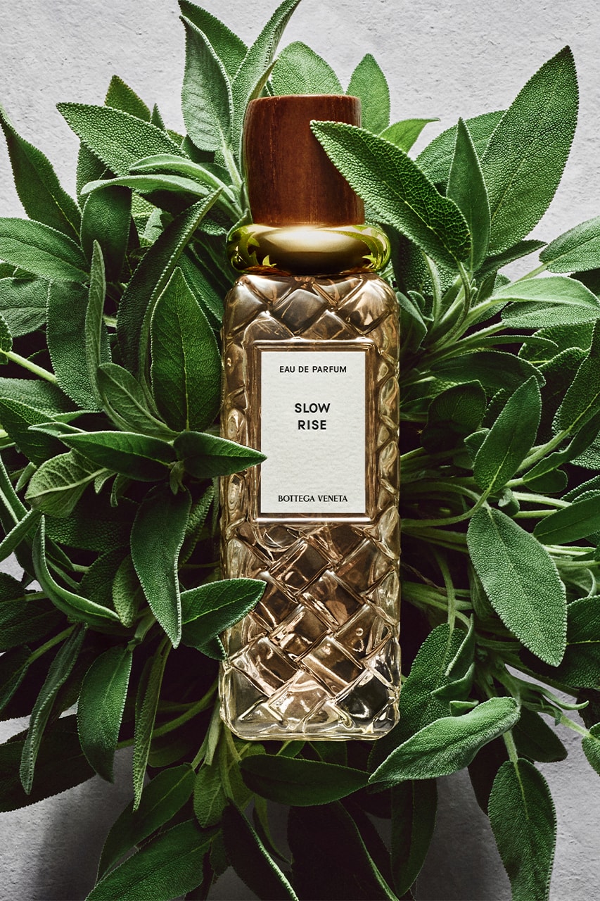 Bottega Veneta, Designer Perfumes, Alta Fragrance Collection, Fragrance, Perfumes