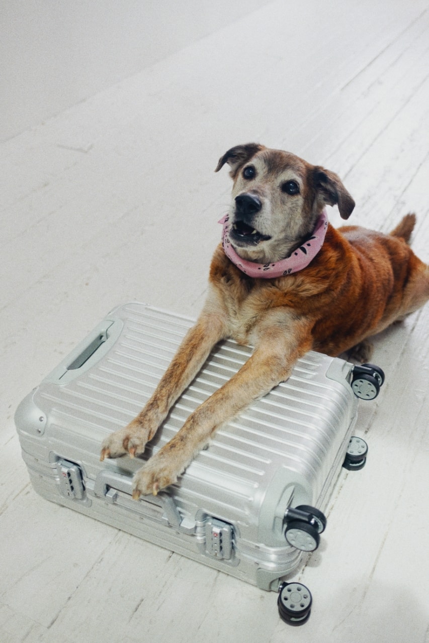 RIMOWA, pride, lgbtqia+, queer community, photography, photo book, books, magazines, Ryan McGinley