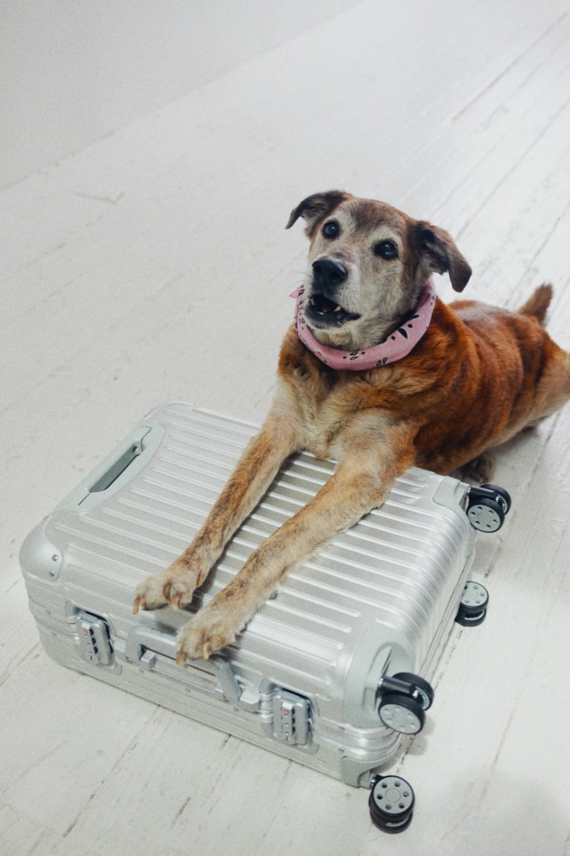 RIMOWA, pride, lgbtqia+, queer community, photography, photo book, books, magazines, Ryan McGinley