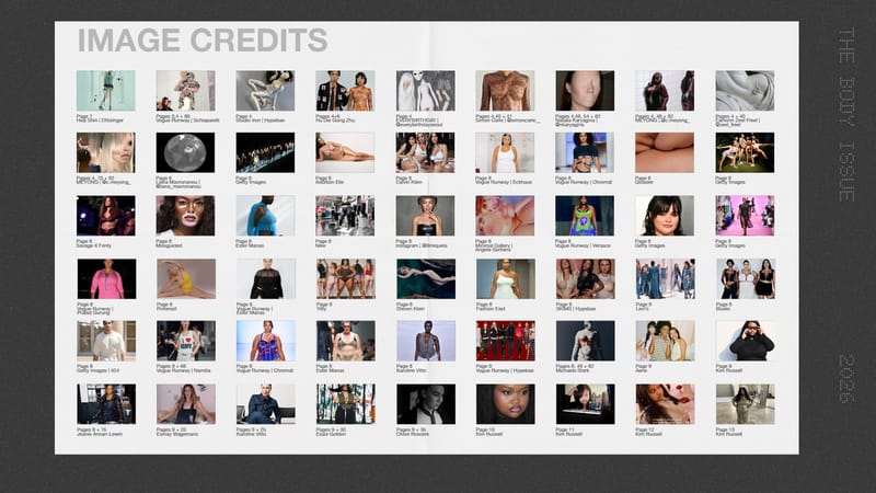 fashion trend,report, womens bodies, plus-size, sports illustraed, BBL, ashley graham, heroin chic, ozempic, savage fenty