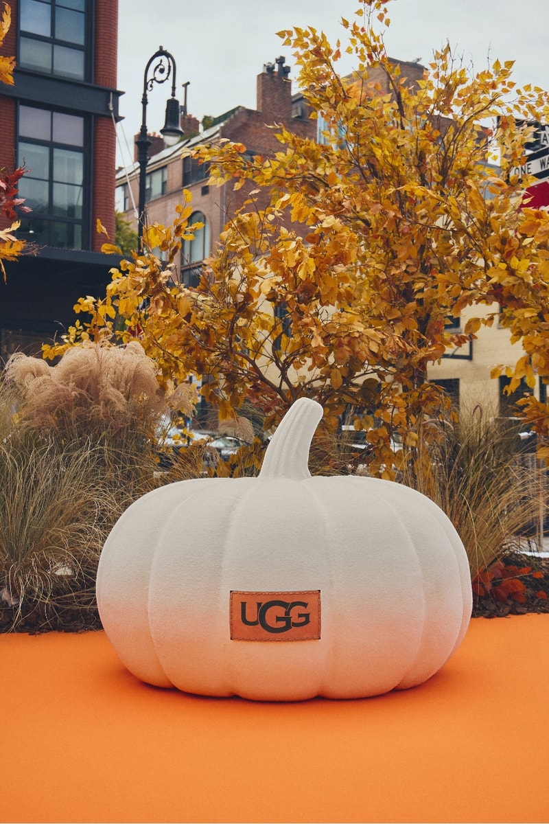 UGG, UGG Season, Footwear, Boots, Fall Fashion, Winter Boots, Sheepskin Boots