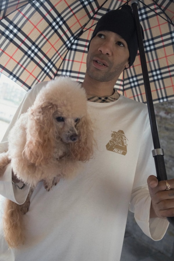 Burberry, Palace, collaboration, fashion, clothes, streetwear, model, hoodies, skate