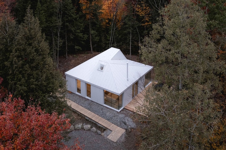 Esta Cabana na Floresta é o Refúgio Perfeito