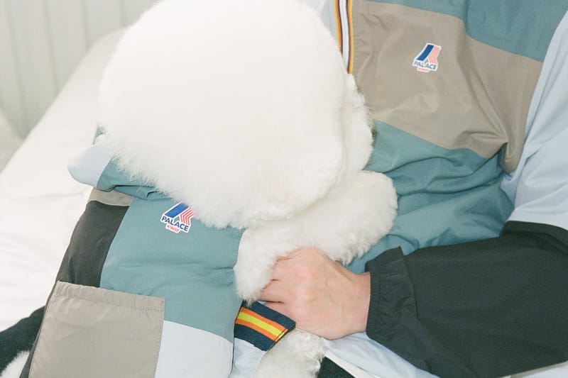 Palace x K-WAY para Cães de Todos os Tamanhos (Pequenos)