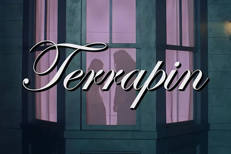 "Weird Al" Yankovic Brilha no Visual "Terrapin" de Clairo, Dirigido por Ayo Edebiri