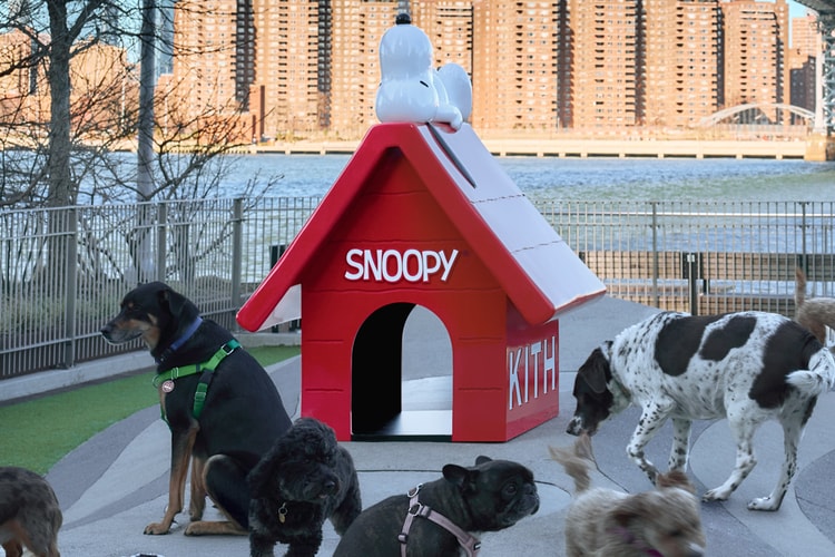 Kith traz a Snoopy's Doghouse para o Domino Park