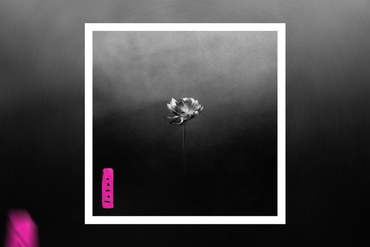 Little Simz compartilha seu novo álbum de estúdio, 'Lotus'