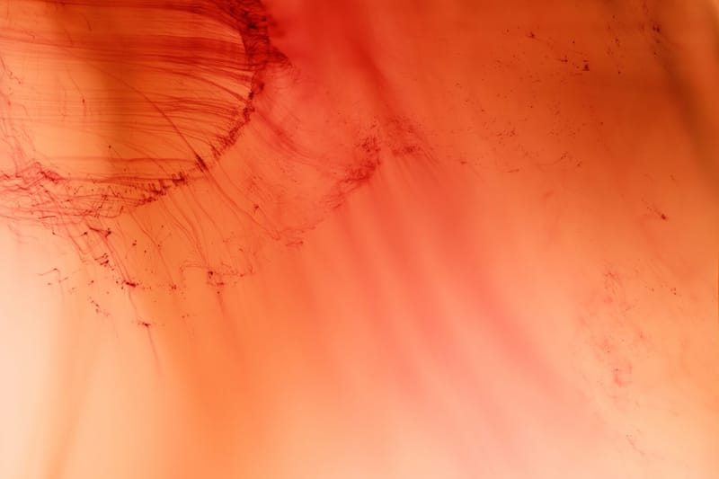 Centre Pompidou se despede com grande retrospectiva de Wolfgang Tillmans