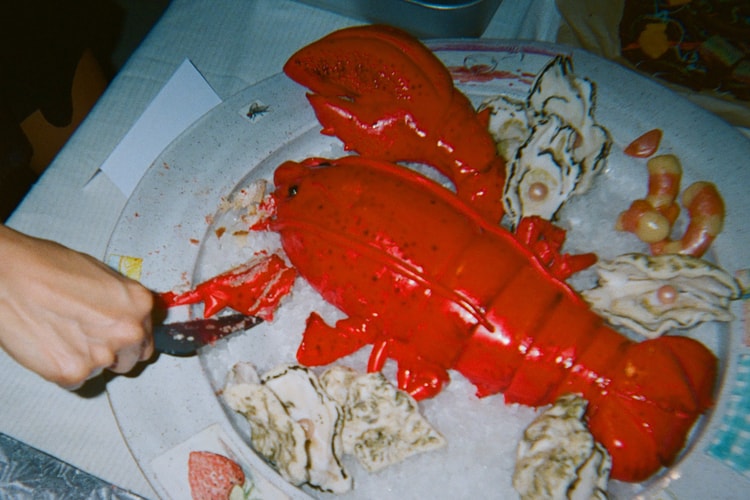 'CAKE', da Olympia, mergulha no lado mais doce da vida