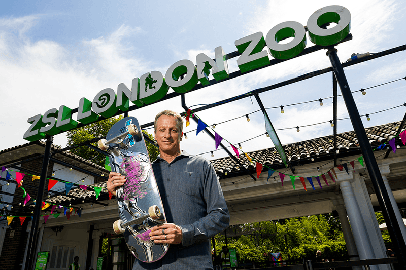 Batemos um papo com Tony Hawk… no zoológico