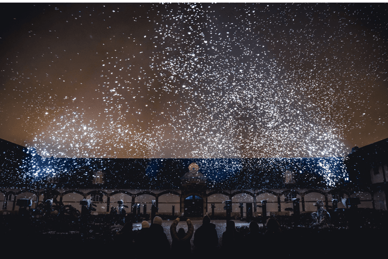 Ruinart ilumina Reims com espetáculo bioiluminado e sustentável