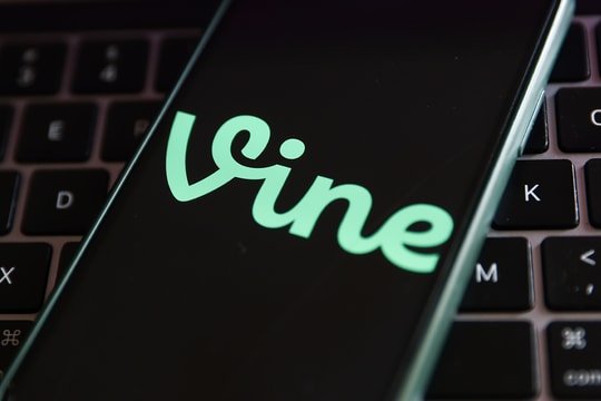 Vine está de volta: diVine, o reboot financiado por Jack Dorsey