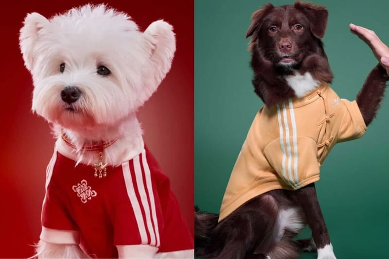 Adidas também vai vestir seus pets para o Ano-Novo Lunar