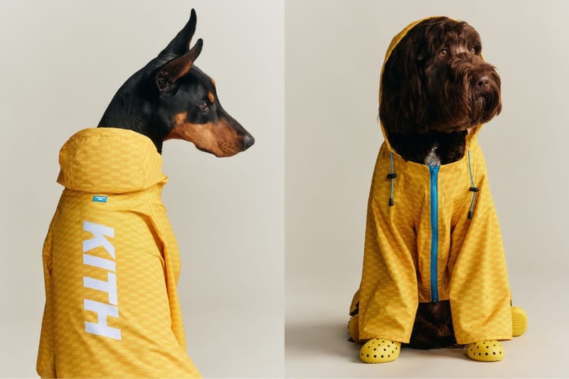 O novo drop da Kith não é pra você… é pro seu cachorro