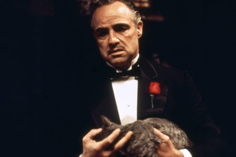 Saga de The Godfather continua com o livro ‘Connie’ em 2027