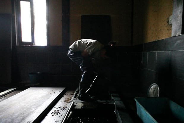 F.I.L. Nagoya名古屋/Kyoto京都 限定天然植物進行藍染工序體驗活動