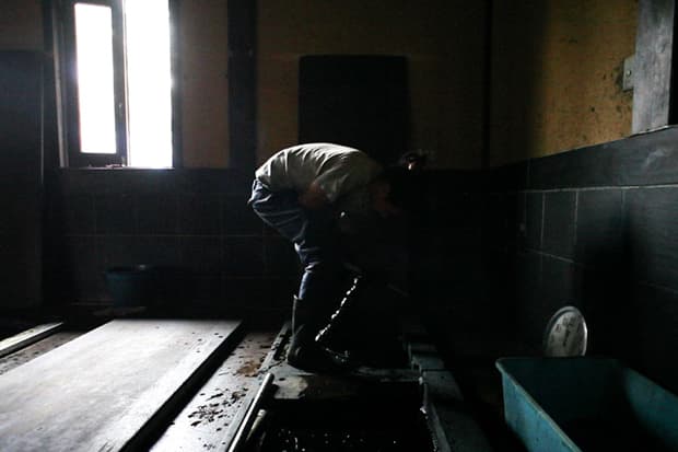 F.I.L. Nagoya名古屋/Kyoto京都 限定天然植物進行藍染工序體驗活動