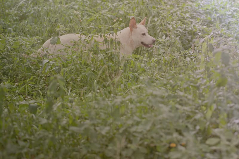 FairEnds 2012 夏季 Camp Cap Lookbook