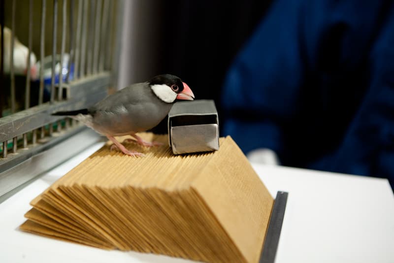 JOYCE 打造獨特氛圍呈獻旗下品牌 2012 年秋冬系列預覽 