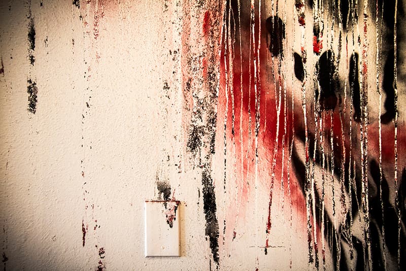 Neck Face “Simply the Worst, Nasty Neck Face” @ New Image 展覽