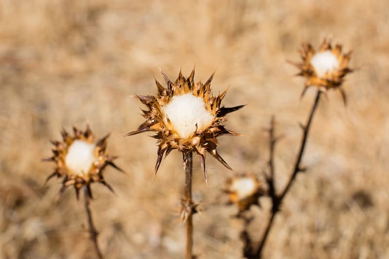 Acrimony 2012 秋季造型 Lookbook