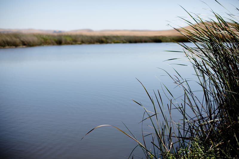 Acrimony 2012 秋季造型 Lookbook