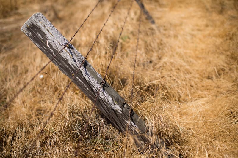 Acrimony 2012 秋季造型 Lookbook