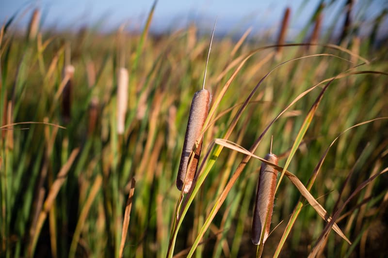 Acrimony 2012 秋季造型 Lookbook