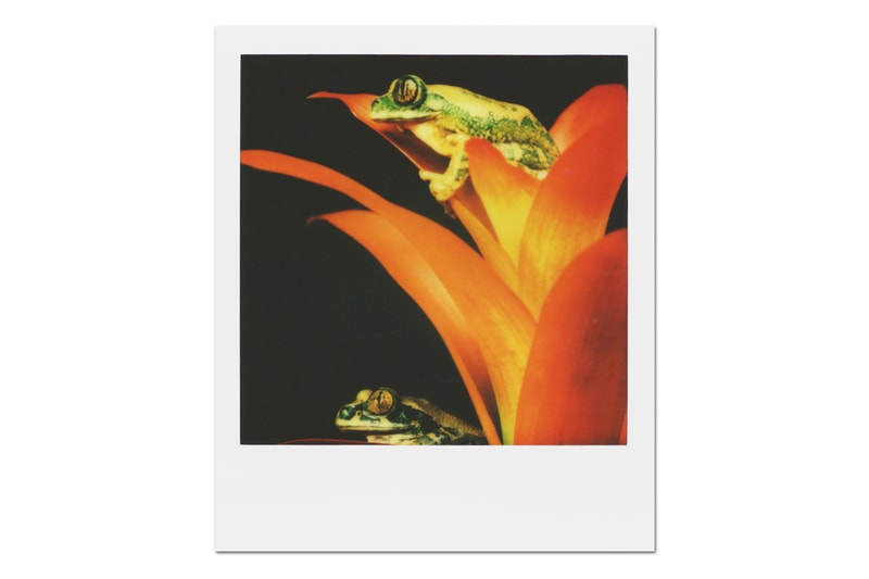 Impossible 發表全新彩色菲林底片 PX 70 與 PX 680