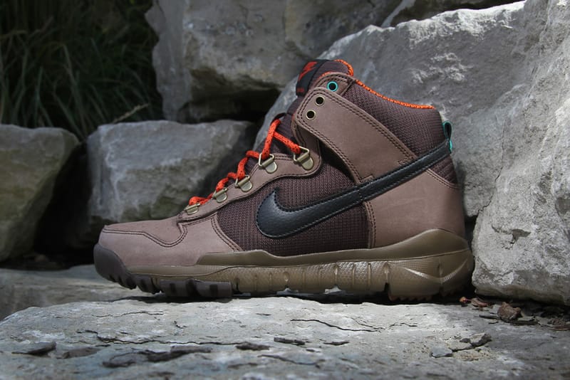 Nike 2012 Fall Dunk High OMS