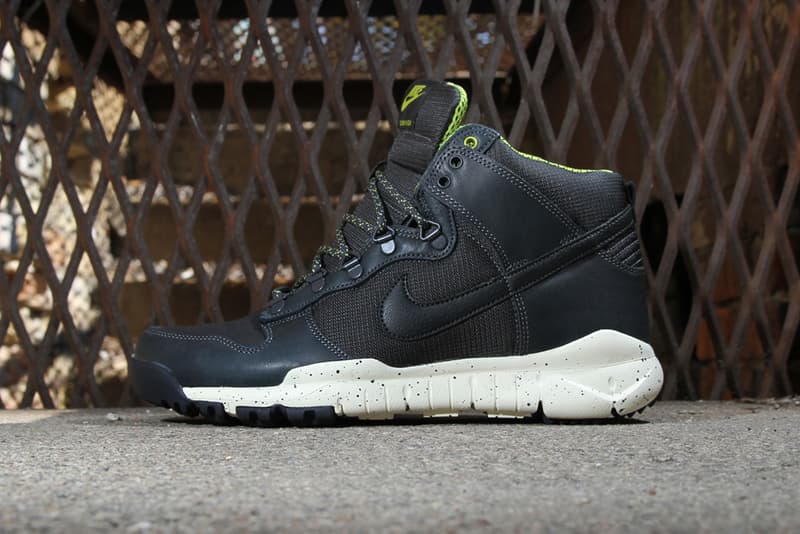 Nike 2012 Fall Dunk High OMS