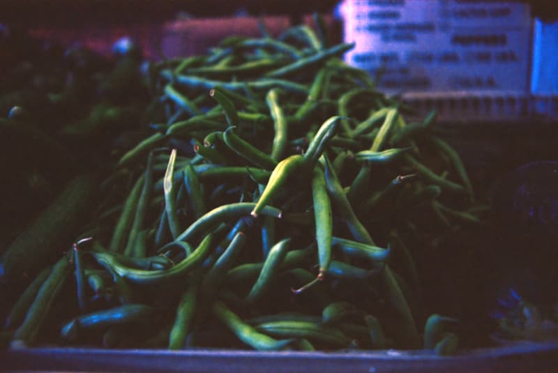 Peas & Carrots  2012 夏季 “Summer, I Suppose”形象 Lookbook