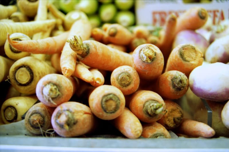 Peas & Carrots  2012 夏季 “Summer, I Suppose”形象 Lookbook